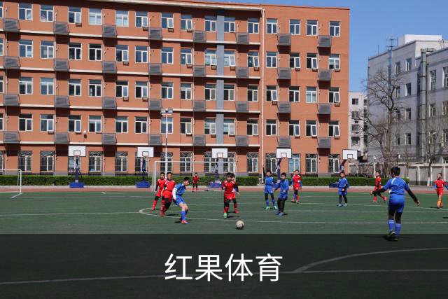 专业红果体育平台